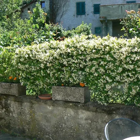 Castagni D'Oro B&B