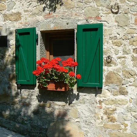 Panzió Castagni D'Oro B&B *