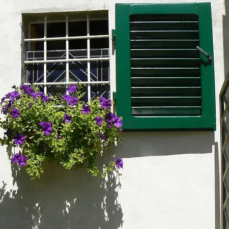 Castagni D'Oro B&B